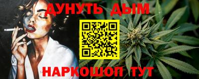 индика Краснознаменск