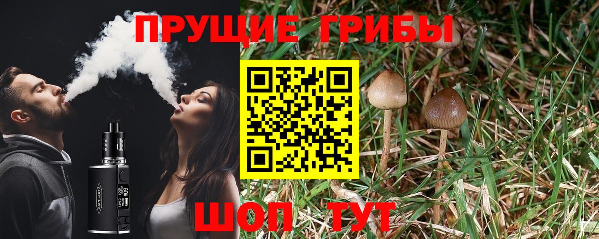 купить наркотики цена  Псилоцибиновые грибы Cubensis  Вход с VPN  Галлюциногенные грибы Psilocybine cubensis  Холмск 